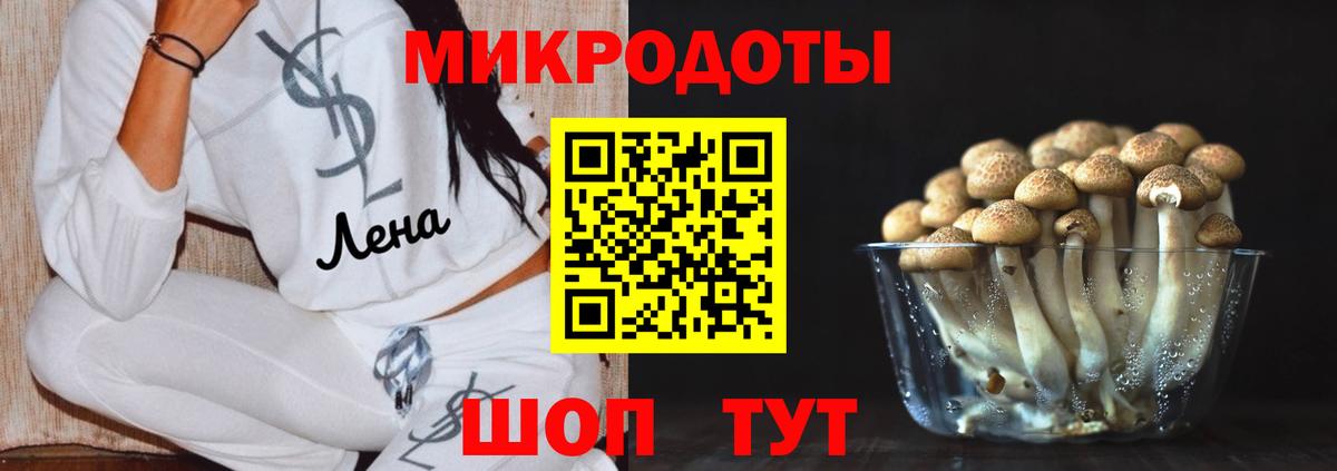 Гусь-Хрустальный  Псилоцибиновые грибы GOLDEN TEACHER  Вход с VPN 