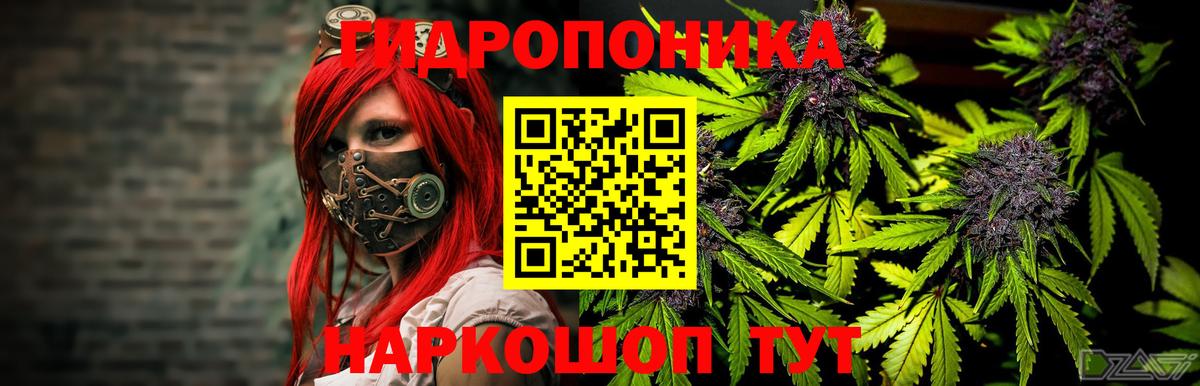 Каннабис индика  Вход с VPN  Бошки марихуана LSD WEED  Гусь-Хрустальный  Шишки марихуана гибрид 